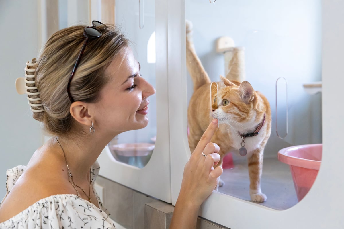 A woman visiting a cat sanctuary and meeting a friendly ginger cat she is considering adopting