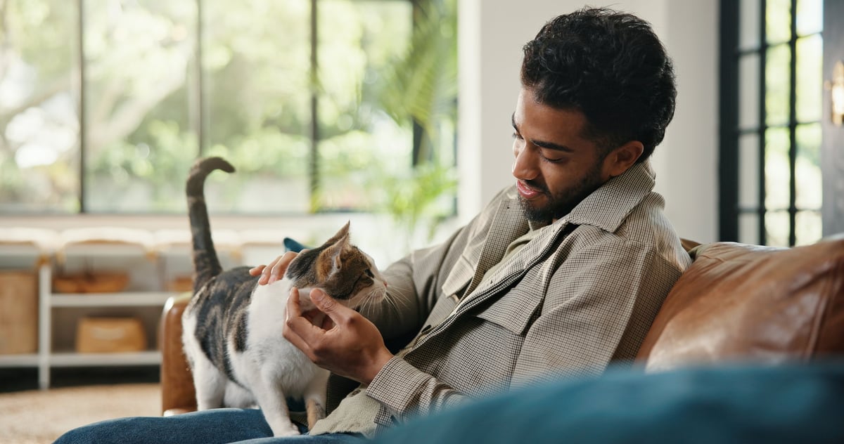A man relaxing on the sofa with his cat rubbing affectionately against him