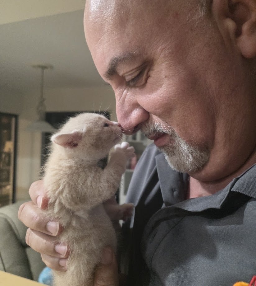 Ositah at four weeks old, a tiny white kitten being held up to a man's face as if sharing a kiss